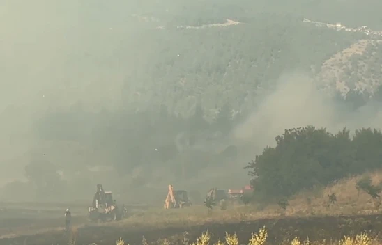 Manisa'da ormanlık alanda yangın çıktı