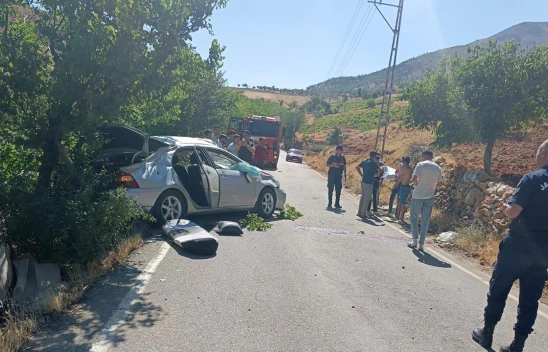 Nurhak'ta tek taraflı trafik kazası