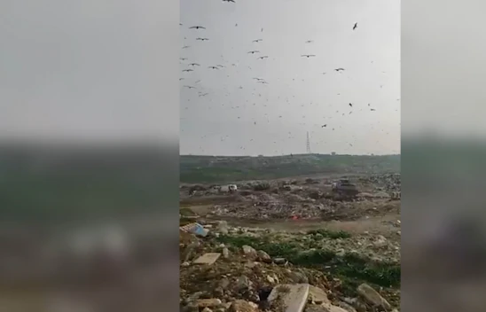 O belediyeye vahşi çöp depolama cezası verildi