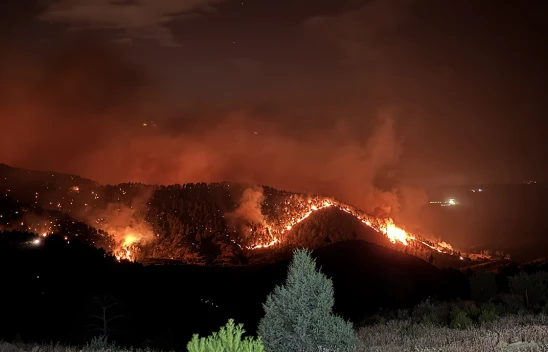 Orman yangınıyla ilgili Kahramanmaraş Valisi Ünlüer'den açıklama