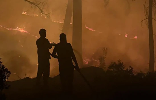 Orman yangınları 4 milyon ton karbondioksit salımına yol açtı