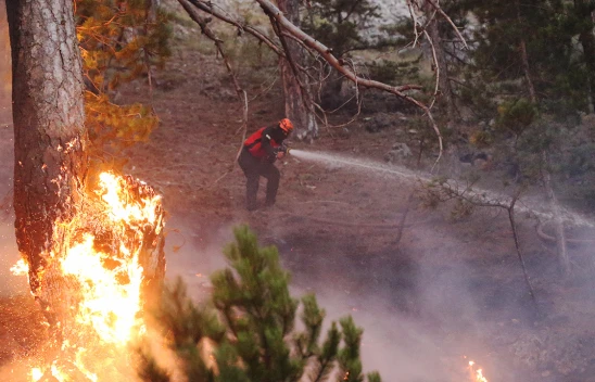 Orman yangınlarına 20 hava aracı, 418 kara aracı ve 1082 personel ile müdahale ediliyor