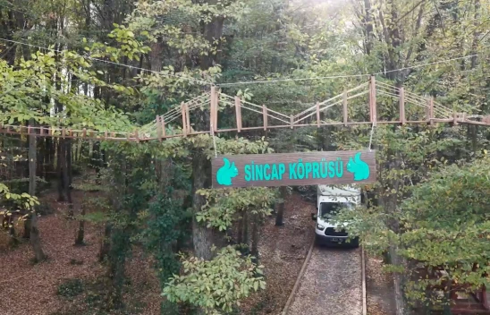 Ormanda sincaplar için köprü yaptılar