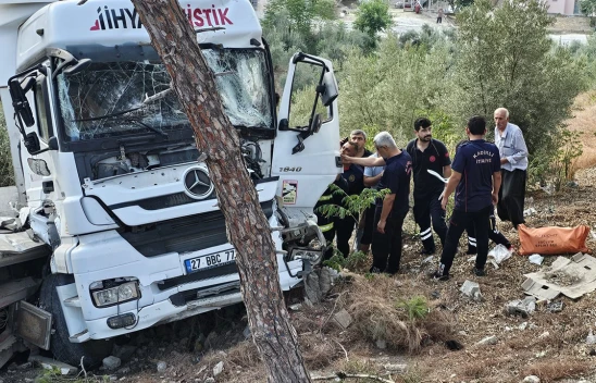 Osmaniye'de ağaca çarpan tırın sürücüsü yaralandı