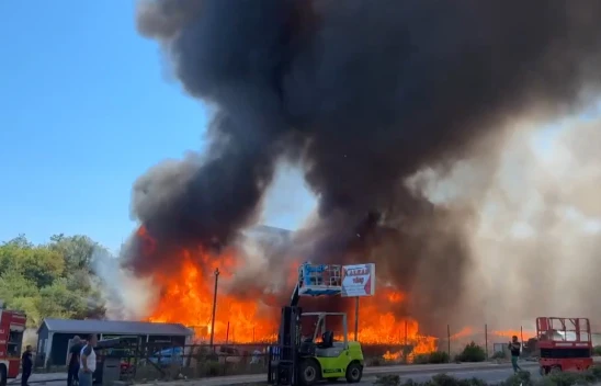 Palet fabrikasında korkutan yangın