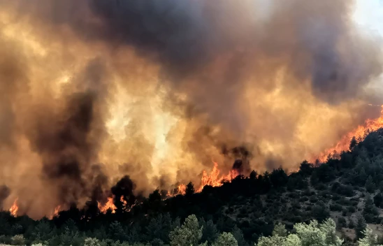 Rüzgarın etkisiyle büyüyen yangın nedeniyle 3 mahalle tahliye ediliyor