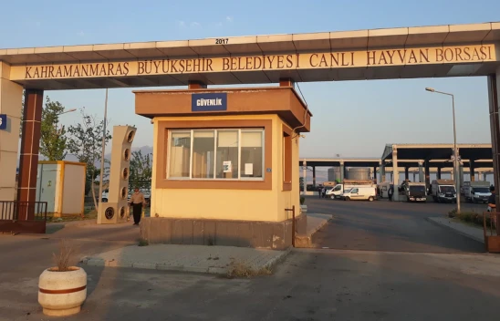 Şap tehlikesi geride kaldı! Kahramanmaraş canlı hayvan pazarı açıldı