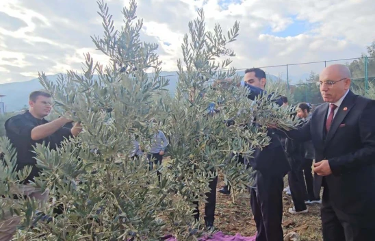 Şehitler için dikilen zeytin fidanlarının geliri TSK Güçlendirme Vakfı'na bağışlandı