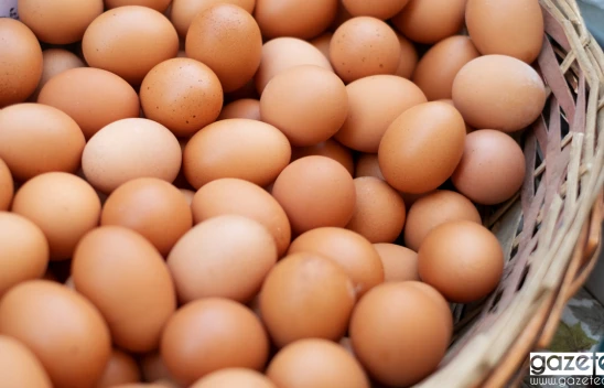 Sofralık yumurta ihracatına yönelik düzenlemeyle fiyat istikrarı sağlanacak