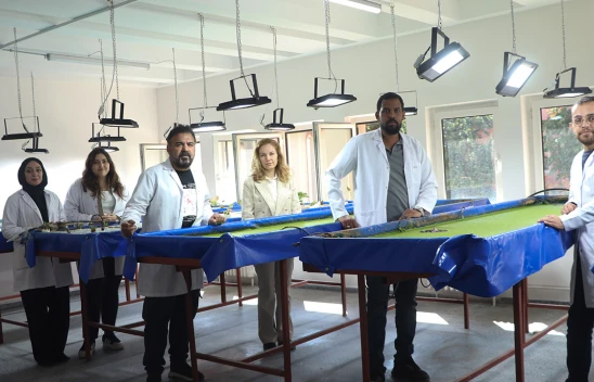 Su mercimeğiyle besliyorlar, gübresini topraksız tarımda kullanıyorlar