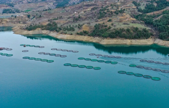 Su ürünleri ihracatında rekor kırıldı! İşte rakamlar