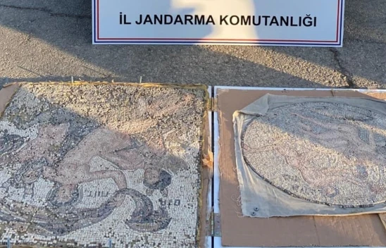 Tarihi eser niteliğinde iki mozaik ele geçirildi