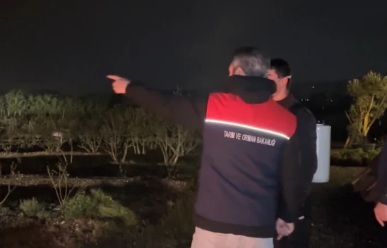 Tarihin en büyük zirai don olayı