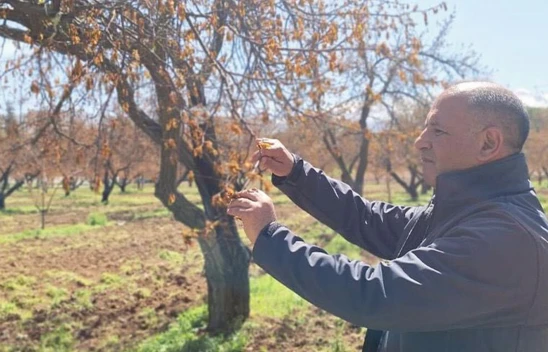 TARSİM'den Kahramanmaraş ve Elazığ'a zirai don çıkarması