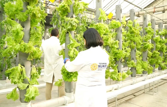 TENMAK'ın laboratuvar çalışmaları dikkat çekiyor