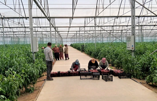 TKDK'den depremzede girişimcilere 200 milyon liralık ilave destek