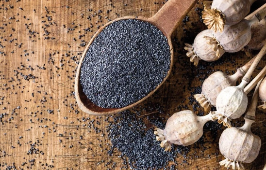 TMO, bin ton mavi haşhaş tohumu satışına devam ediyor