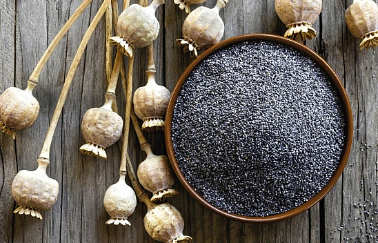 TMO'dan mavi haşhaş tohumu satışı! Şubat fiyatı 125 TL