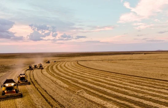 Türkiye'den yılın 7 ayında 7,1 milyar dolarlık hububat ihracatı yapıldı