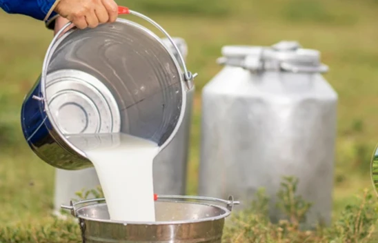 Türkiye'nin çiğ süt üretimi arttı