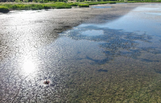 Türkiye'nin göllerinde su seviyeleri düşüyor
