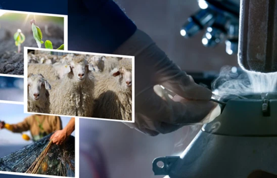 Üretim yapan çiftçilerin destek ödemesi yapıldı