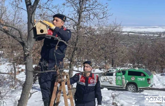 Yaban kuşlarına önce yuva sonra yem