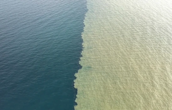 Yağışın ardından denizin rengi kahverengiye döndü