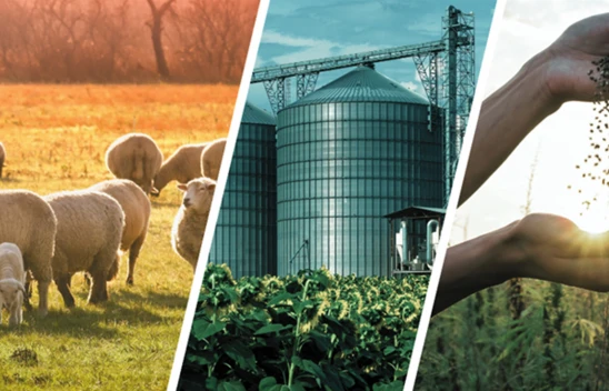 Yaklaşık 773 milyon liralık tarımsal destekleme ödemesi çiftçilerin hesaplarına aktarılıyor