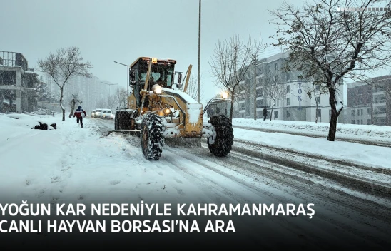 Yoğun kar nedeniyle Kahramanmaraş Canlı Hayvan Borsası'na ara