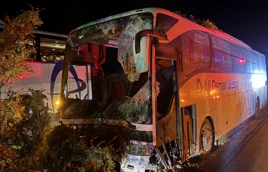 Yolcu otobüsü ağaçlara çarptı! 1 kişi öldü, 13 kişi yaralandı