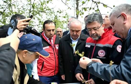 Zirai don sonrası saha çalışmaları sürüyor