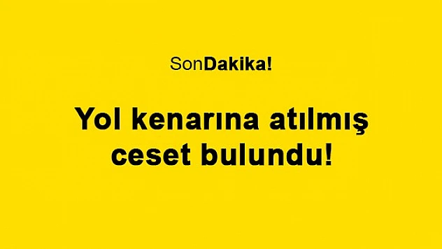 Yol kenarına atılmış ceset bulundu!