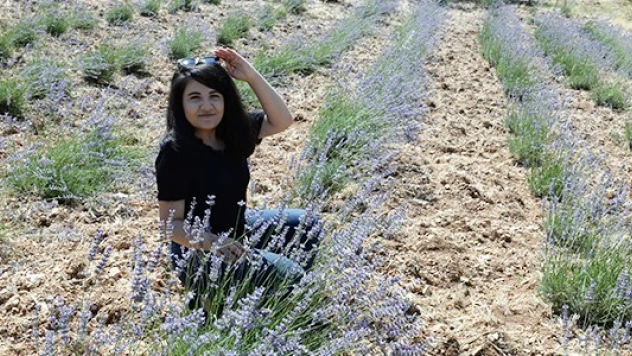 Kahramanmaraş'ta lavantalar hasadı başladı!