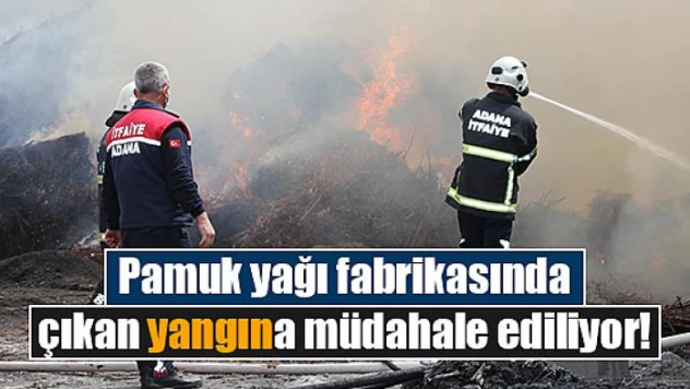 Pamuk yağı fabrikasında çıkan yangına müdahale ediliyor!