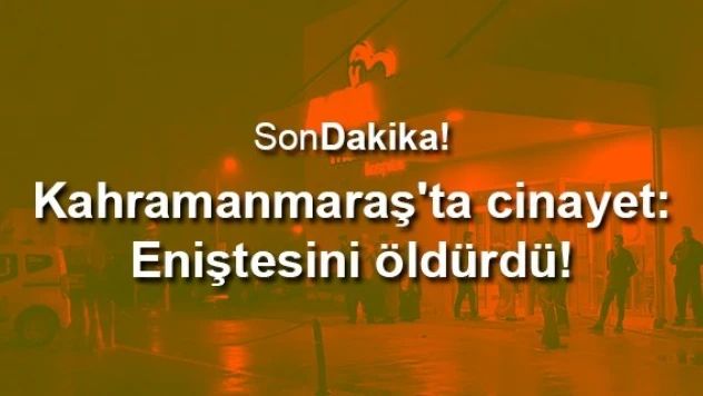 Kahramanmaraş'ta cinayet: Eniştesini öldürdü!