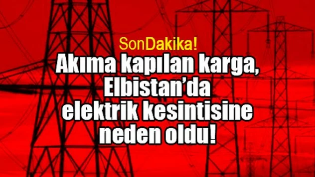 Akıma kapılan karga, Elbistan'da elektrik kesintisine neden oldu!