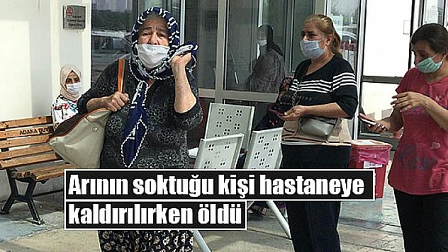 Arının soktuğu kişi hastaneye kaldırılırken öldü