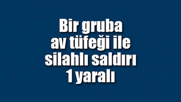 Bir gruba av tüfeği ile silahlı saldırı: 1 yaralı