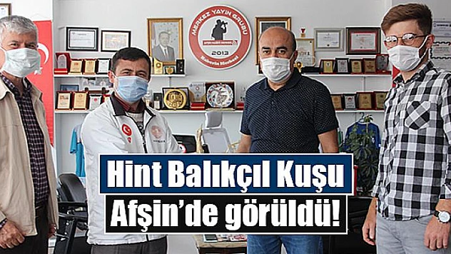 Hint Balıkçıl Kuşu Afşin'de görüldü!
