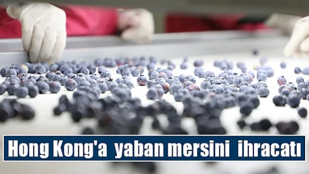 Hong Kong'a  yaban mersini  ihracatı