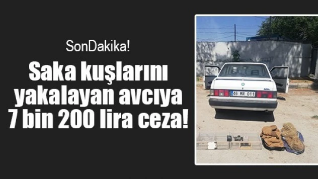 Saka kuşlarını yakalayan avcıya 7 bin 200 lira ceza!