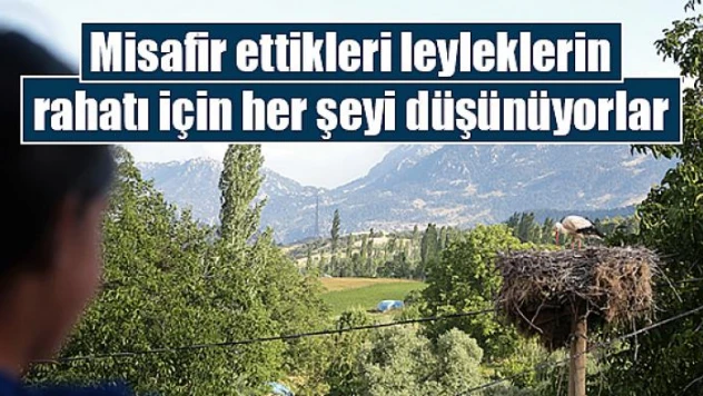 Misafir ettikleri leyleklerin rahatı için her şeyi düşünüyorlar