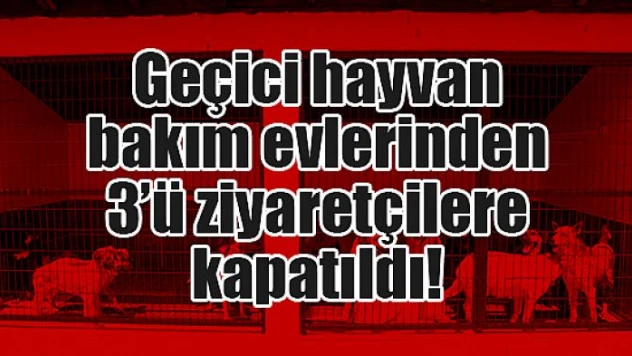 Geçici hayvan bakım evlerinden 3'ü ziyaretçilere kapatıldı!