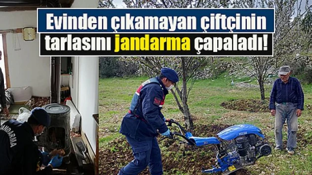 Evinden çıkamayan çiftçinin tarlasını jandarma çapaladı!