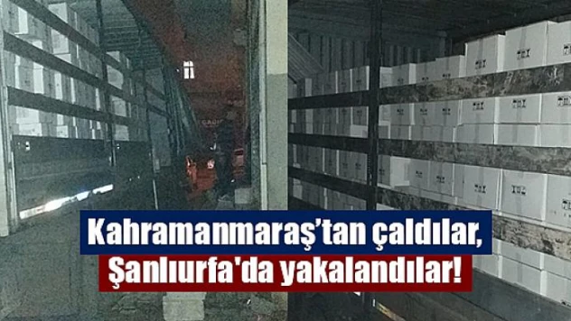 Kahramanmaraş'tan çaldılar, Şanlıurfa'da yakalandılar!