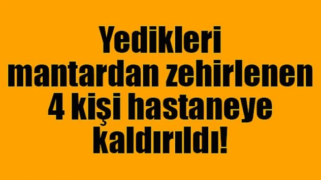Yedikleri mantardan zehirlenen 4 kişi hastaneye kaldırıldı