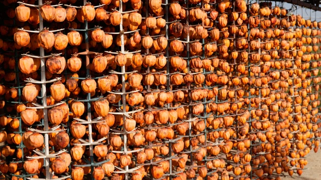 10 dönümlük bahçede Türkiye'nin 81 iline ticaret