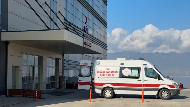 13 yaşındaki çocuk sahipsiz köpeklerin saldırısına uğradı