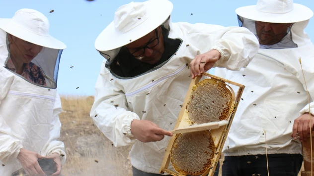 2 bin 400 rakımdaki yaylada bal hasadı yapıldı